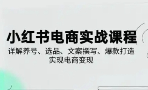 小红书从0-1实操课(2023-2025)，详解养号、选品、文案撰写、爆款打造实现电商变现-百创网