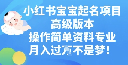 小红书宝宝起名项目高级版本，操作简单，资料专业，月入过W-百创网