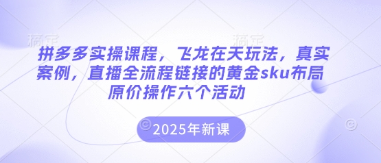 拼多多实操课程，飞龙在天玩法，真实案例，直播全流程链接的黄金sku布局原价操作六个活动-百创网