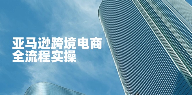 （14252期）亚马逊跨境电商全流程实操，教你从零开始，掌握店铺运营与广告技巧-百创网