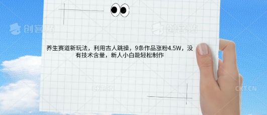 AI养生赛道新玩法，10条作品涨粉5.2W，操作简单，新人小白能轻松制作-百创网