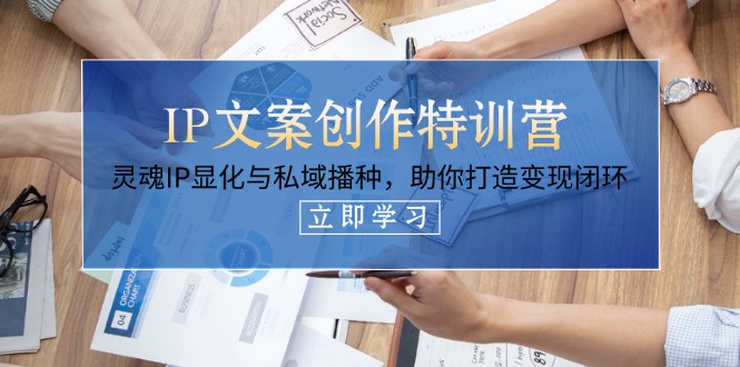 （14330期）IP文案创作特训营，灵魂IP显化与私域播种，助你打造变现闭环（14节课）-百创网
