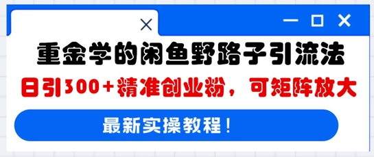 重金学的闲鱼野路子引流法，日引300+精准创业粉，可矩阵放大-百创网