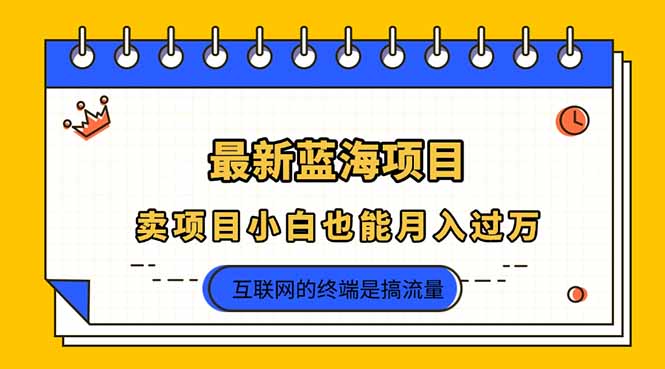 （14289期）2025年最新蓝海项目，卖项目小白也能月入过万-百创网