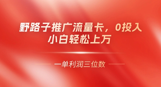 0门槛推广流量卡，一单收益上百，0投入，小白月入过W-百创网