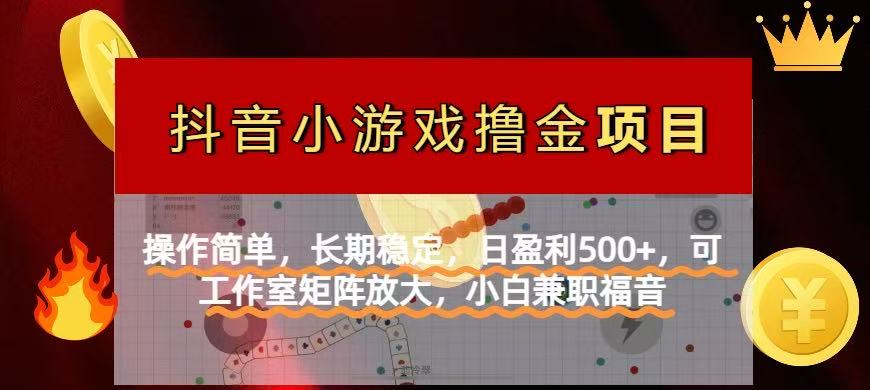 （14290期）【抖音小游戏发行人计划项目】操作简单，长期稳定，日盈利500+，可工作…-百创网