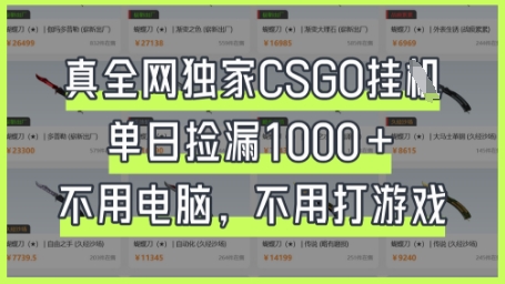 真全网独家CSGO挂G，单日捡漏1k+【揭秘】-百创网