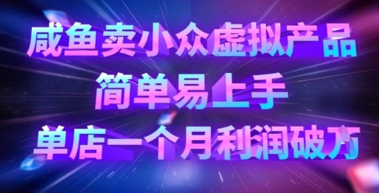 咸鱼卖小众虚拟产品，简单易上手，单店一个月利润破W-百创网