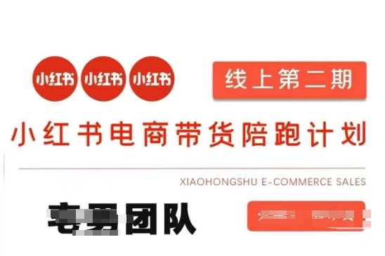 小红书电商带货课2期，月利润20个的小红书电商的有货源，无货源，虚拟产品，付费投流等整套玩法-百创网